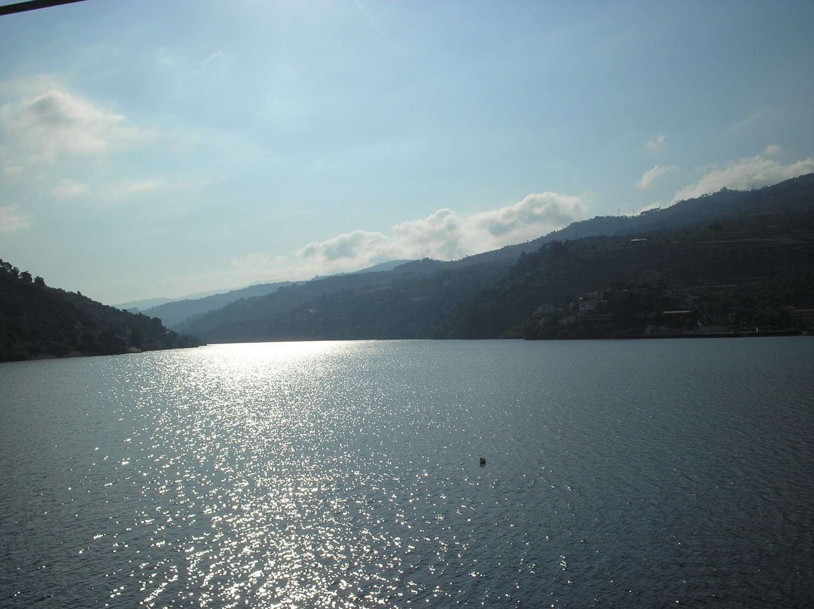 [P1010042.JPG]