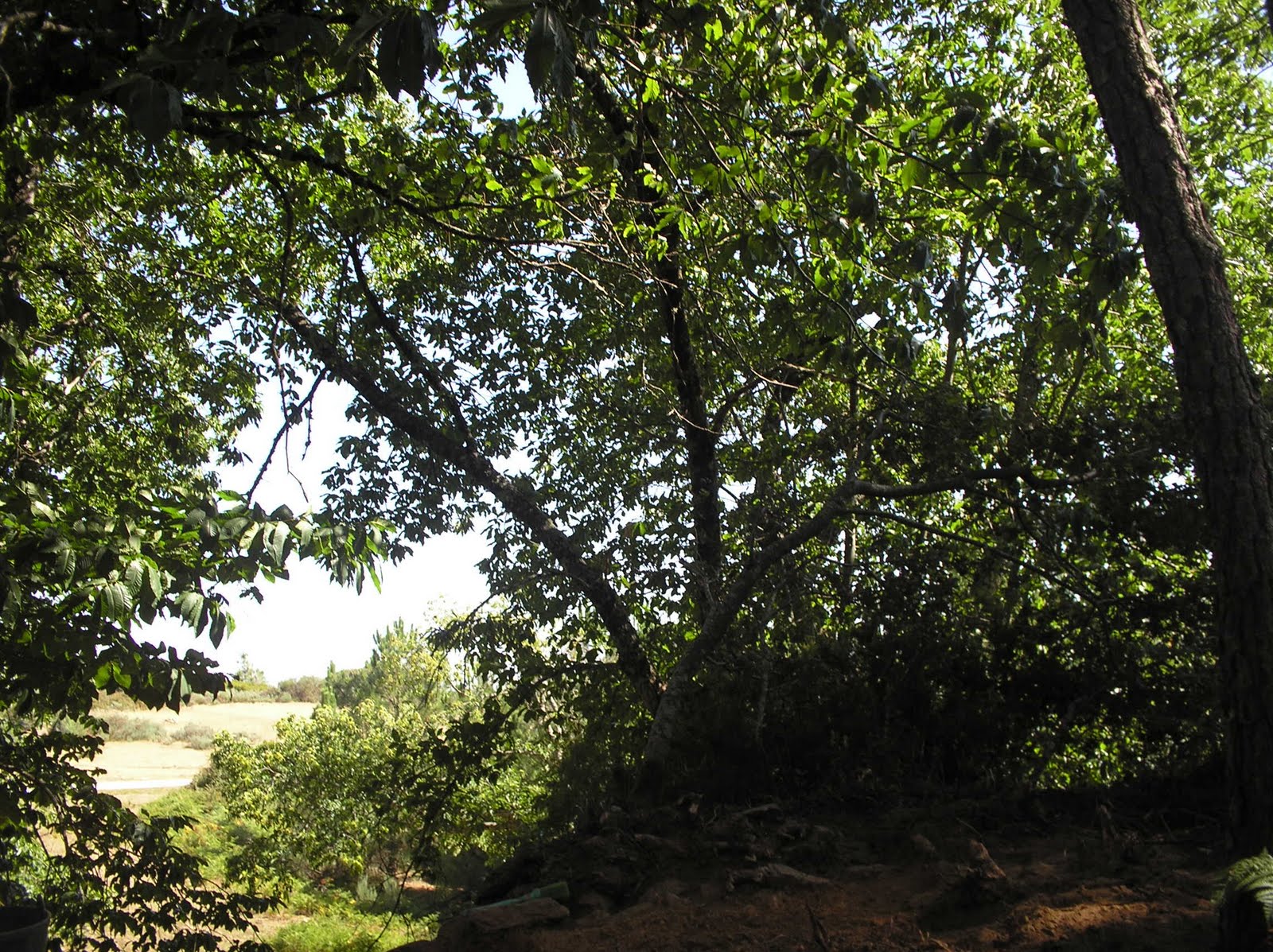[P1010004.JPG]