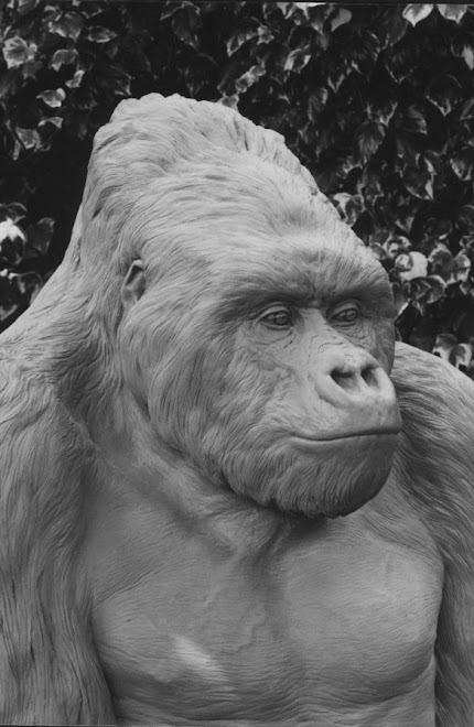 mountain gorilla (in clay form)