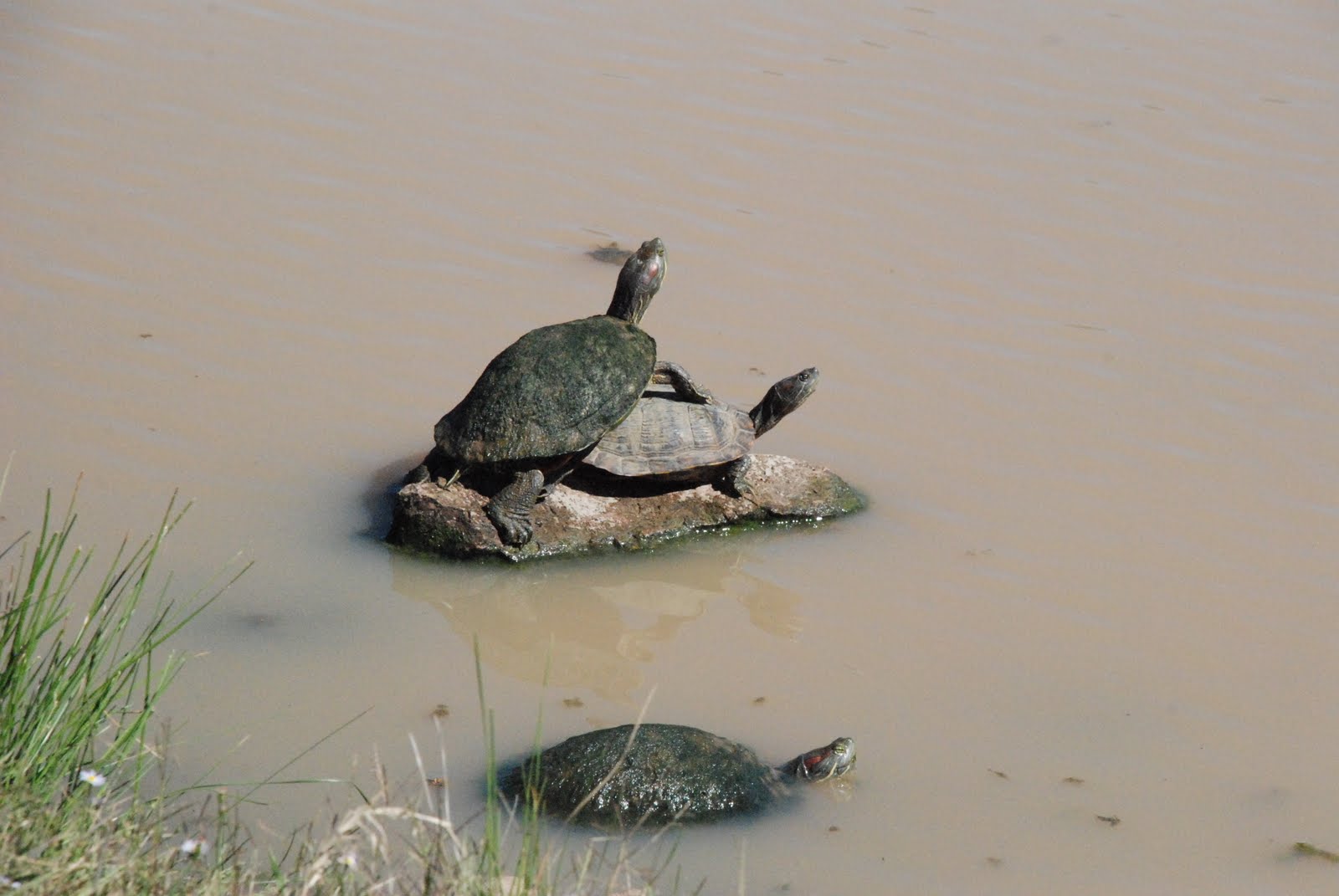 Adams RVing Adventures Arbuckle Wilderness in Davis, Oklahoma