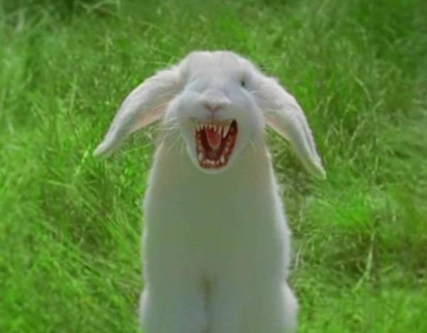 rabbit-butcher-joke