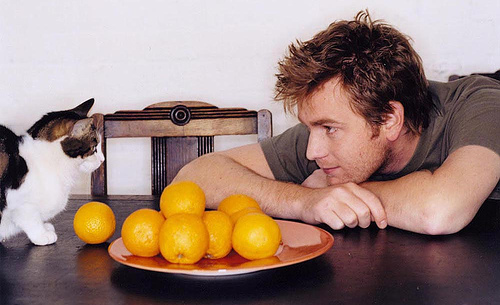 ewan-cat.jpg