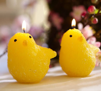 Hot Naked Chicks (NSFW) : funny