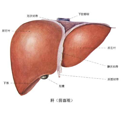 爆肝企業名單