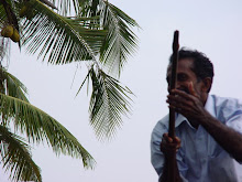 Palm Tree Smile (India, 2009)