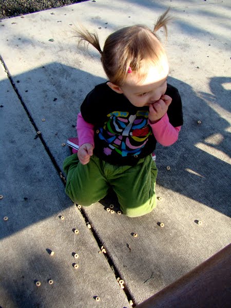 [tomatoSoupInAbox2.jpg]