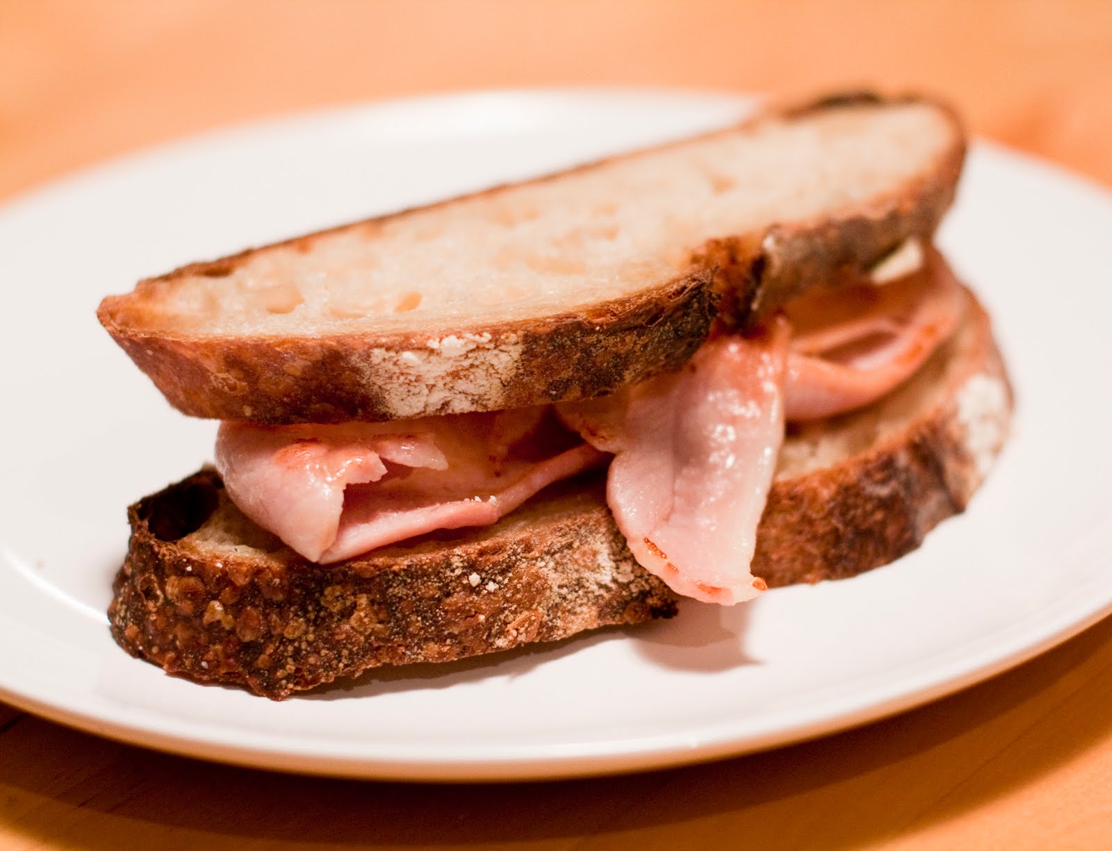 [bacon4.jpg]