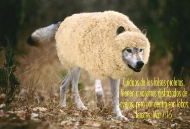 [lobos.bmp]