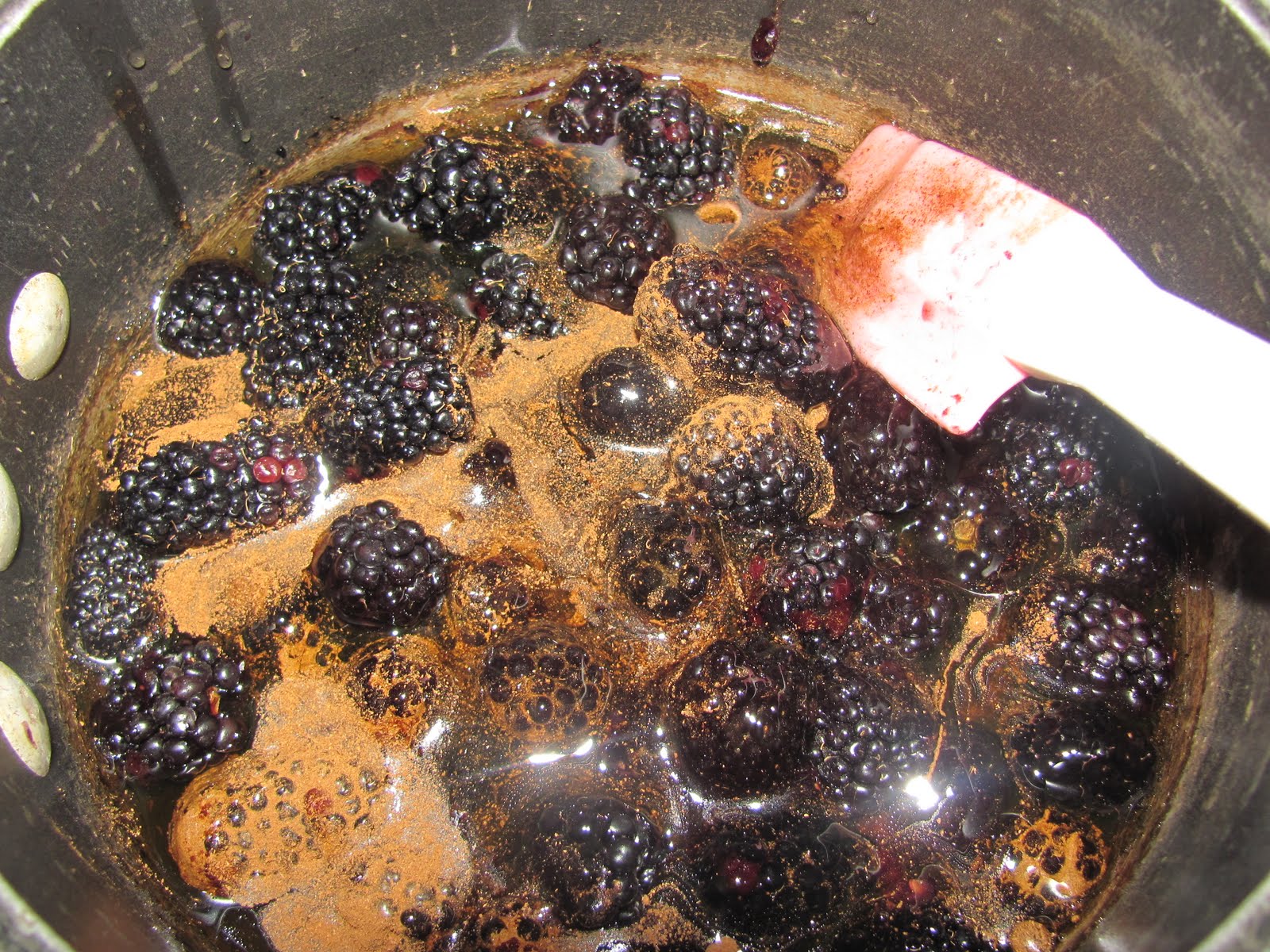 Growing Gourmets Blackberry Honey