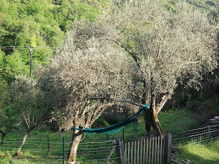 rencontres corse du sud