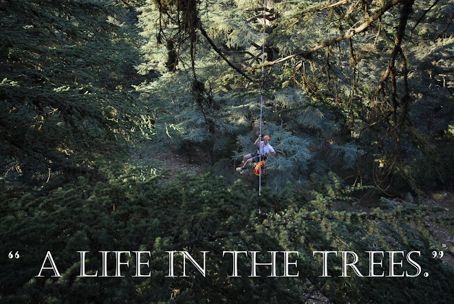 A Life in the Trees