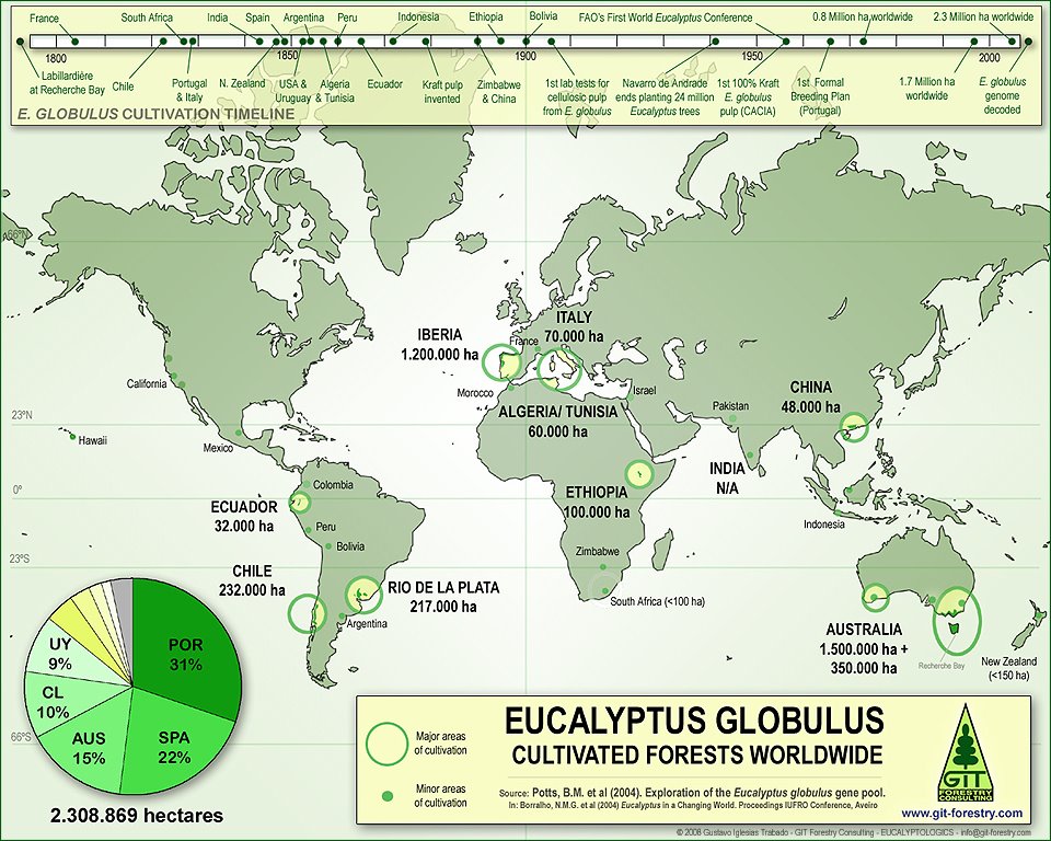 [GITForestry_Eucalyptologics_Eucalyptus_globulus_World_Map_940x768.jpg]