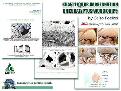 Eucalyptus Wood Chip Impregnation by Kraft Liquor during chip cooking / Eucalyptus Online Book, May 2009, by Celso Foelkel / Eucalyptus Wisdom from Brazil / Impregnación de astillas de eucalipto por el licor de cocido Kraft / Libro Online Eucalipto, Marzo 2009, por Celso Foelkel / Ecoeficacia, Ecoeficiencia, Produccion Mas Limpia / Sabiduría eucalíptica desde Brasil