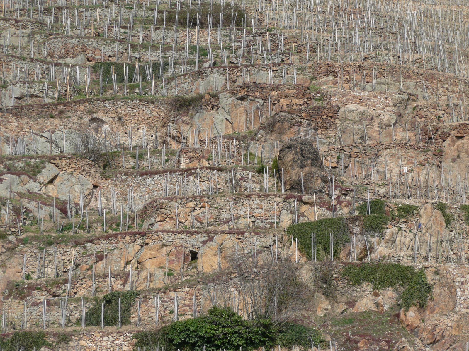 [Rhone+March+2008+005.jpg]