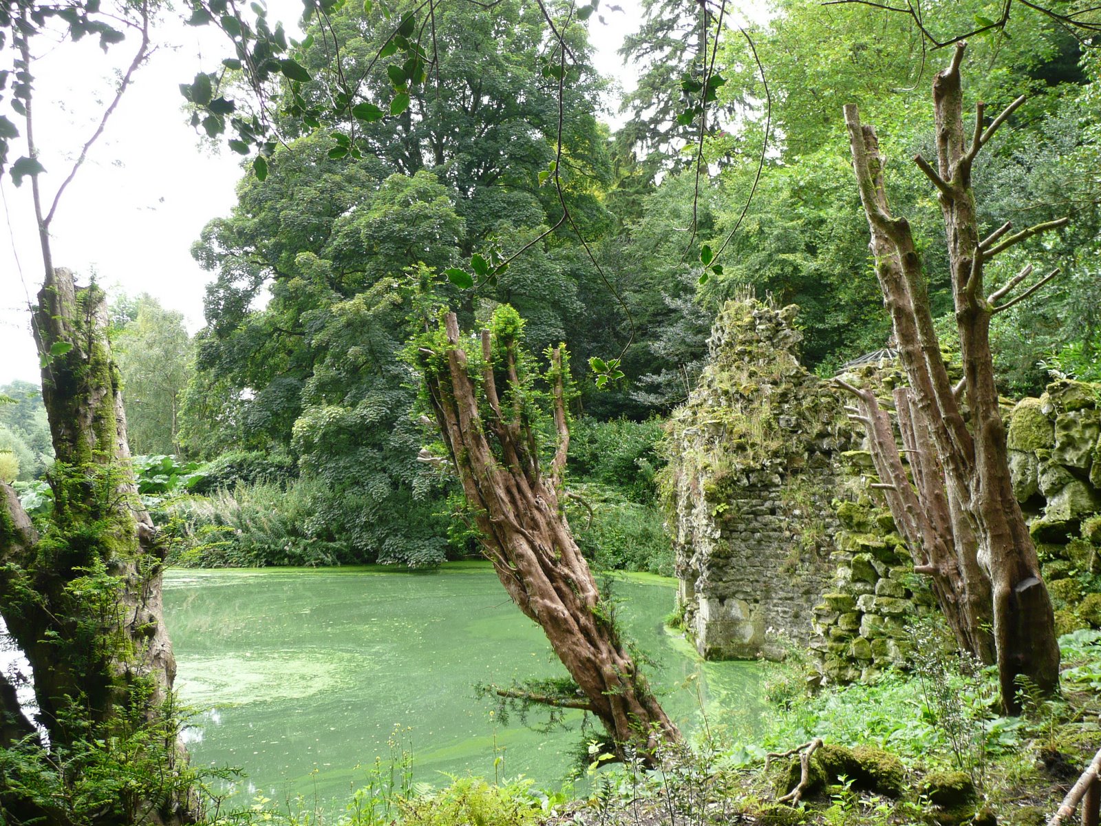 [Stourhead+29th+August+2008+010.jpg]