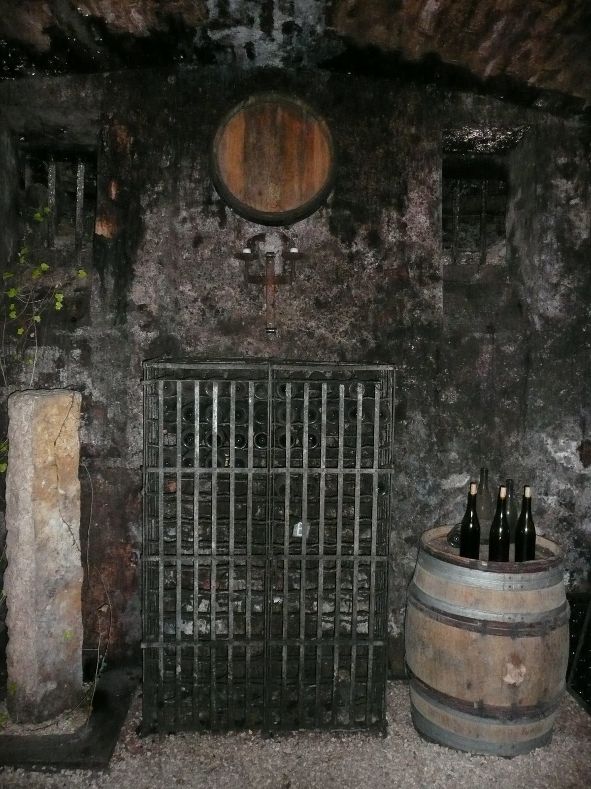 [Burgundy+Day+Two+Dec+2008+002.jpg]