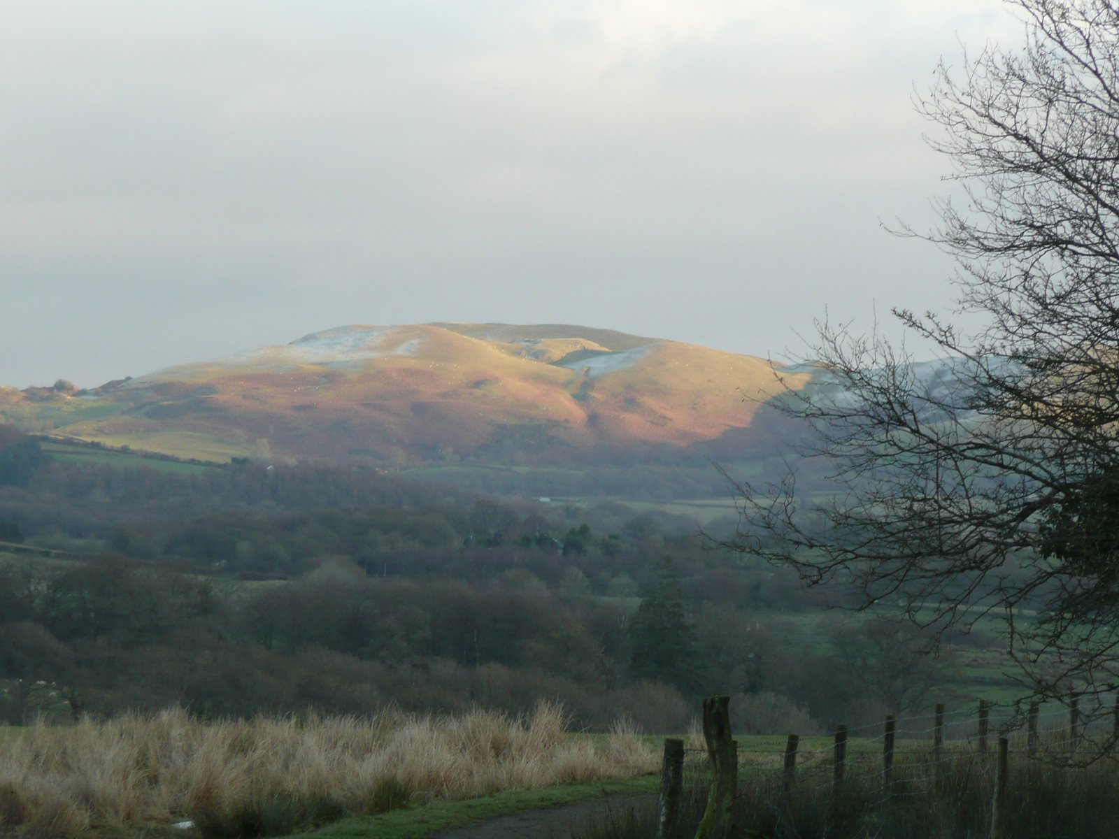 [Llysdinam+1st+and+2nd+Dec+2008+018.jpg]