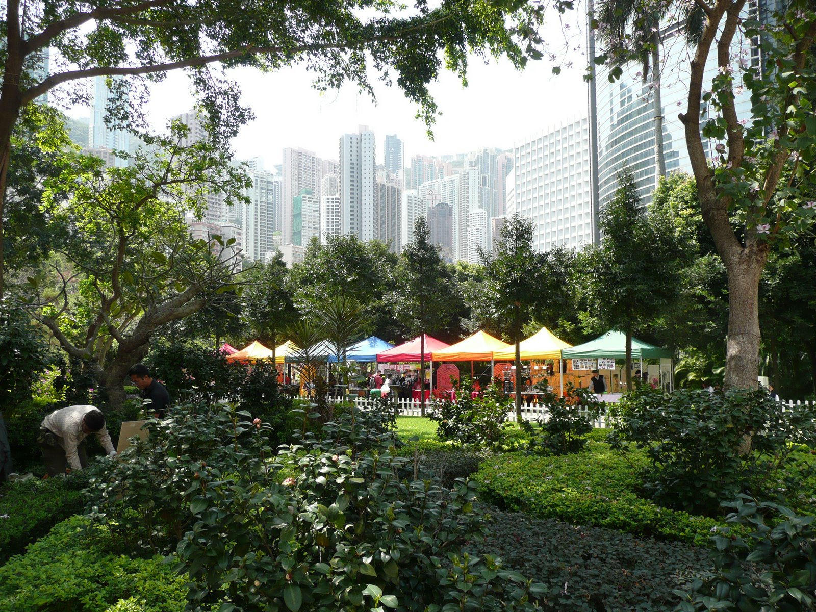 [Hong+Kong+14th+Feb+2009+004.jpg]