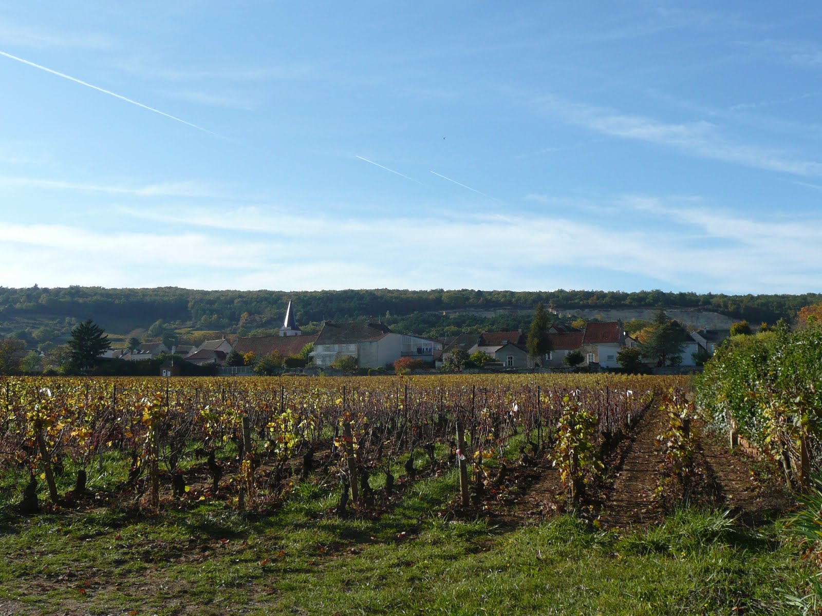 [Burgundy+27th+October+2009+006.jpg]