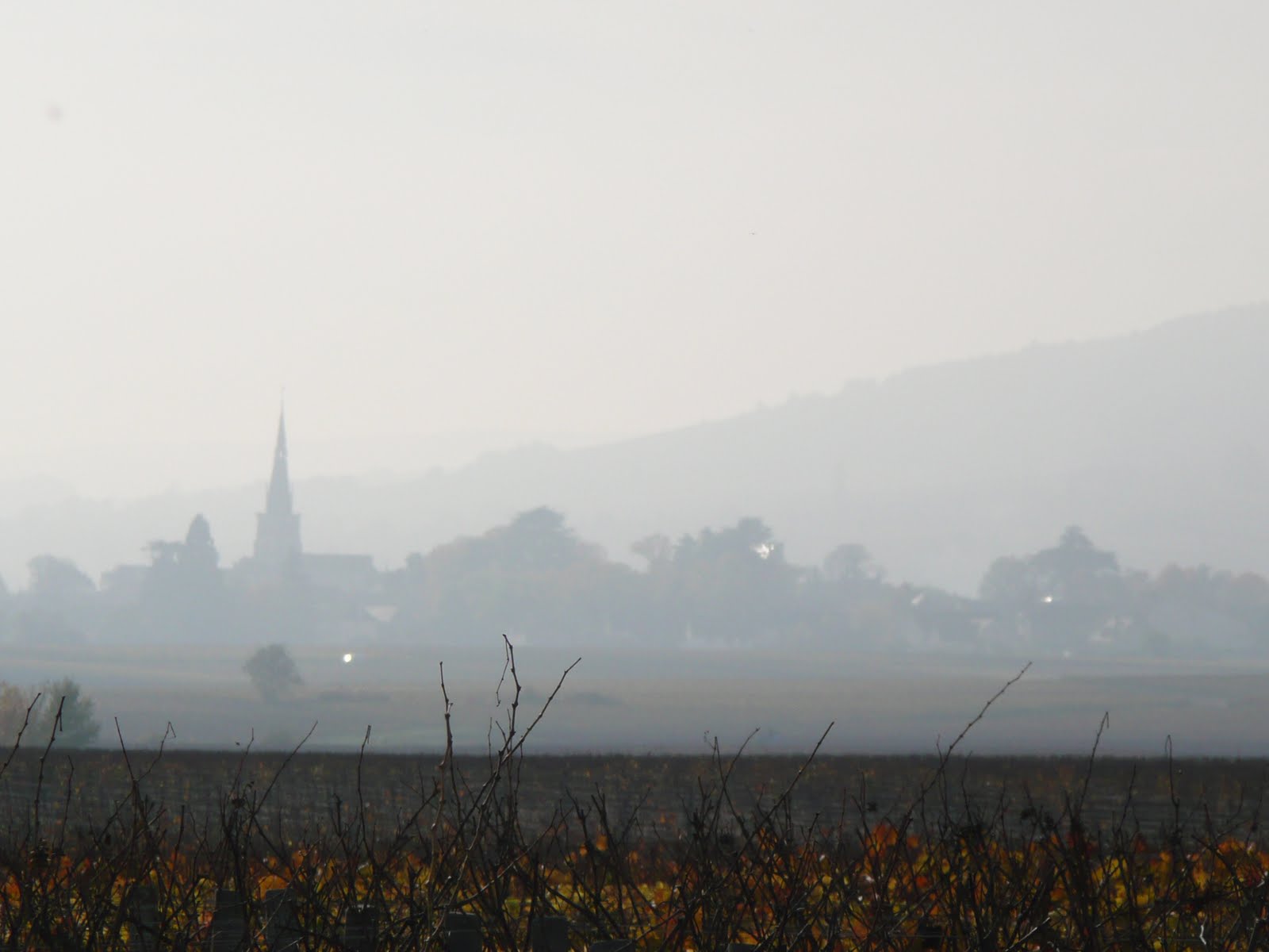 [Burgundy+28th+October+2009+afternoon+005.jpg]