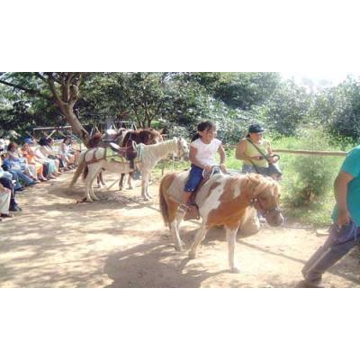 nuestros paseos a caballo