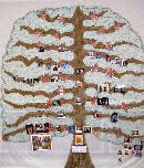 "Our Family Tree"