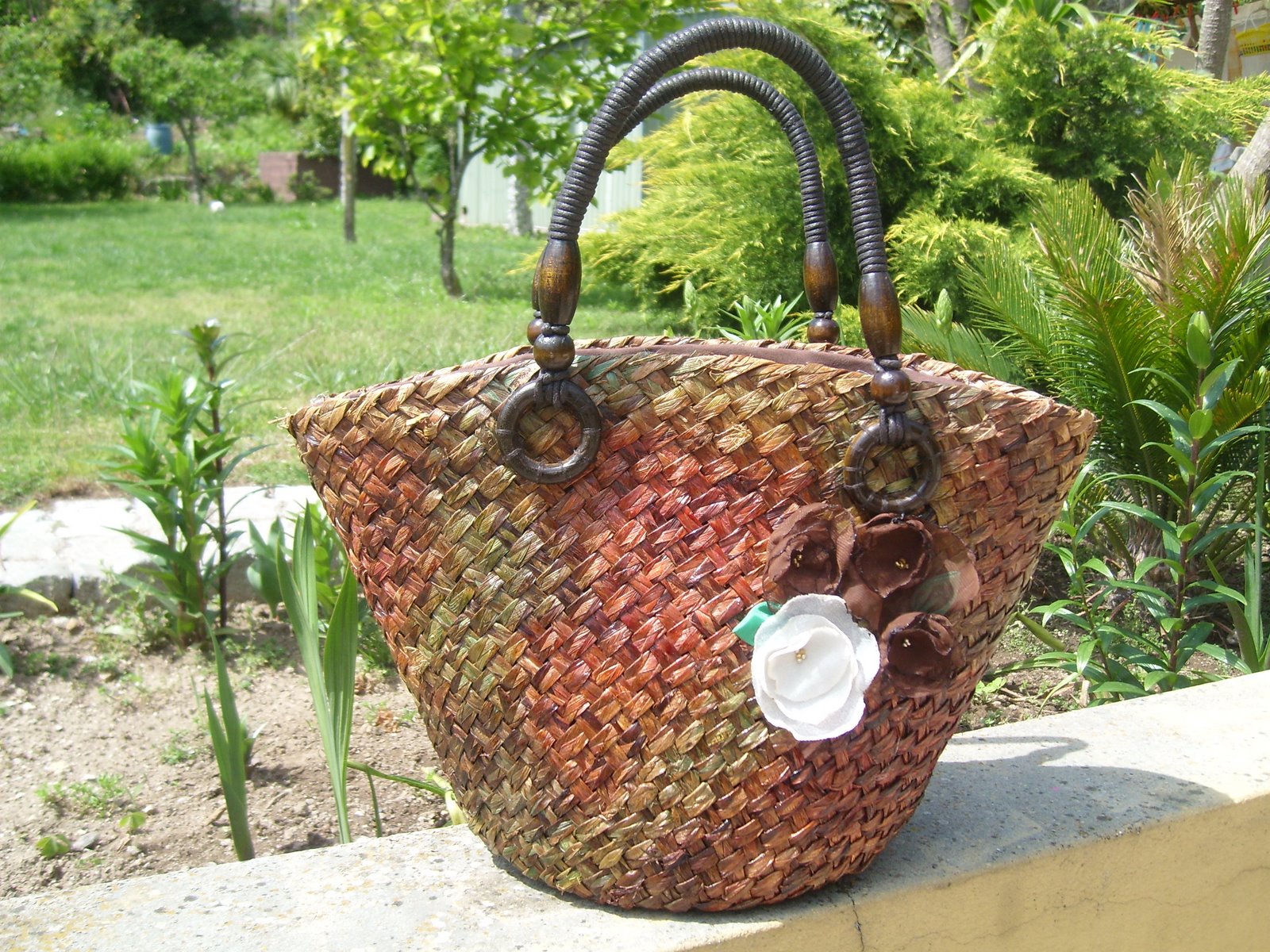 [SL731888.JPG]