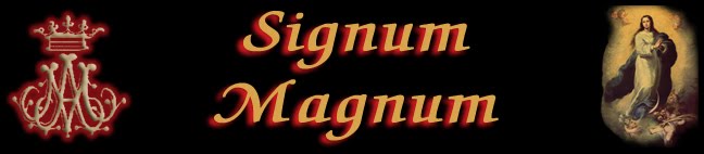 Signum Magnum