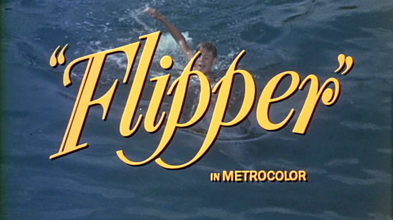flipper movie 1996 watch online