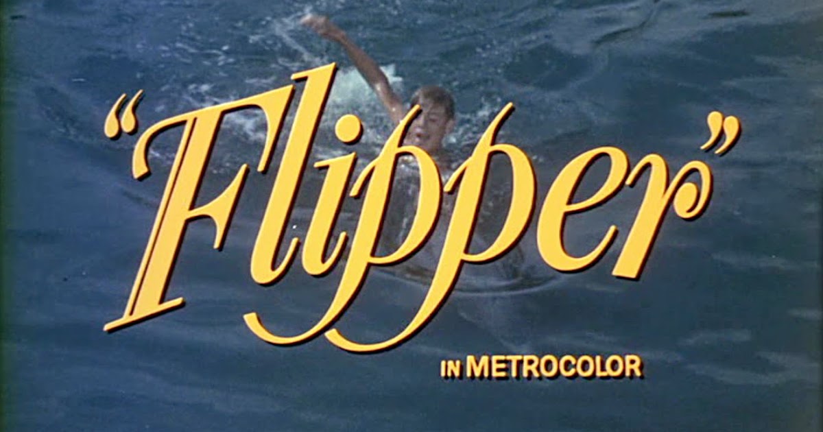 the flipper blog How It All Started The Flipper Movie (1963)