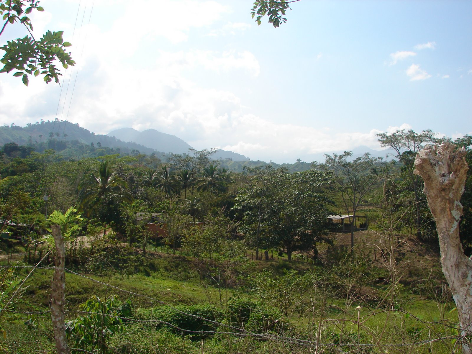 [DSC04374.JPG]