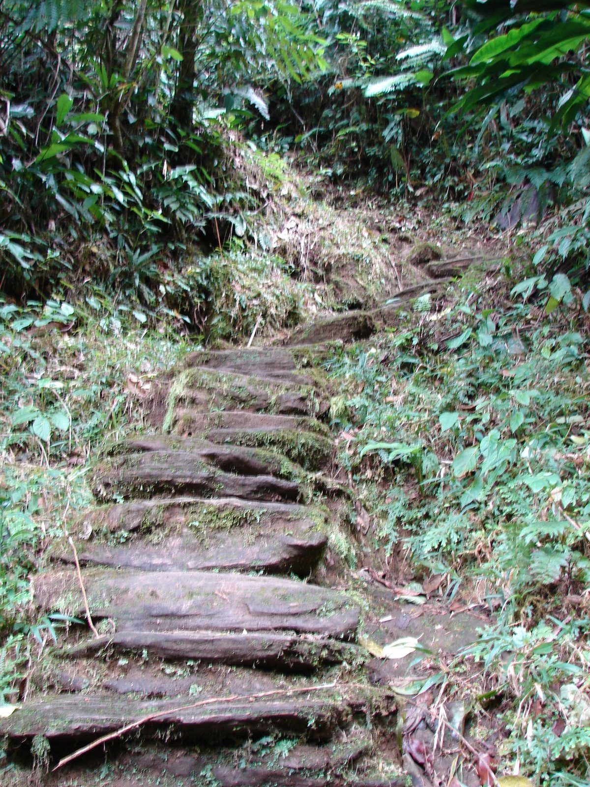 [DSC04475.JPG]