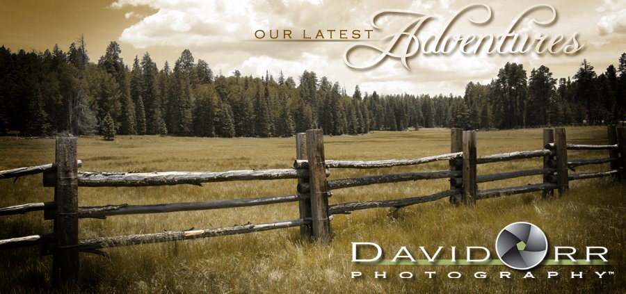 David Orr Photography