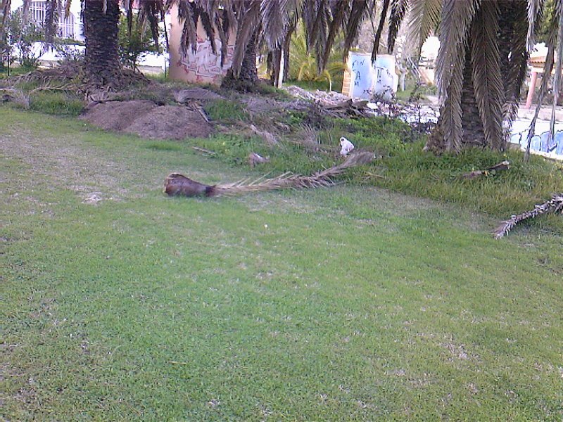 [Fotos-0085.jpg]