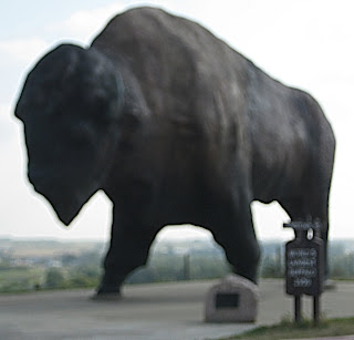 Big+buffalo