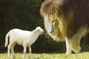[lion-lamb3.jpg]
