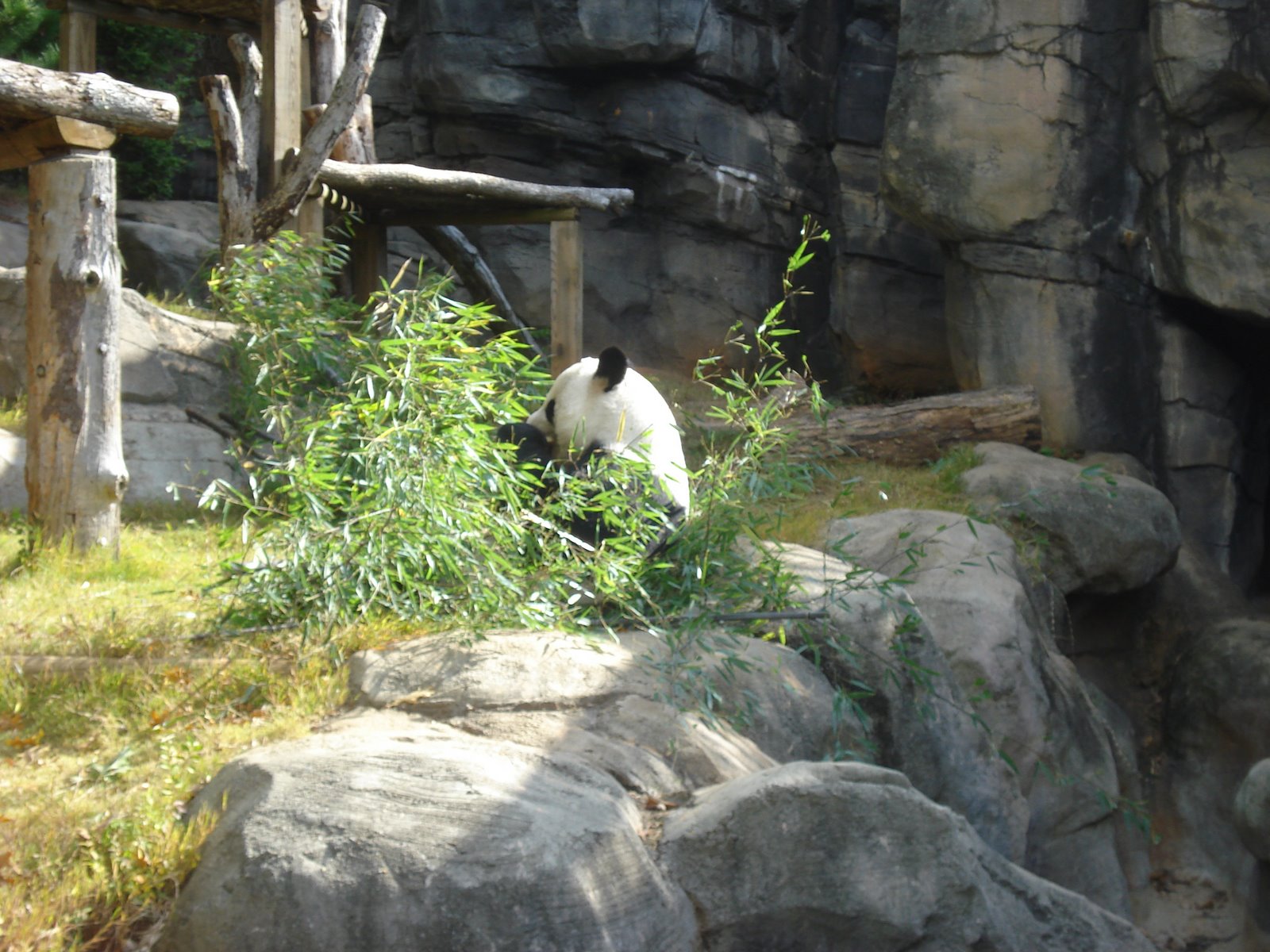 [DSC03246.JPG]