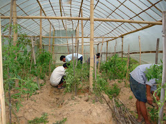 Working in organic farm