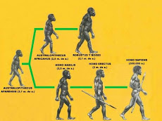 Evolucion del hombre