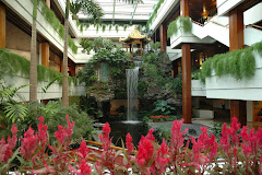 Inside the hotel