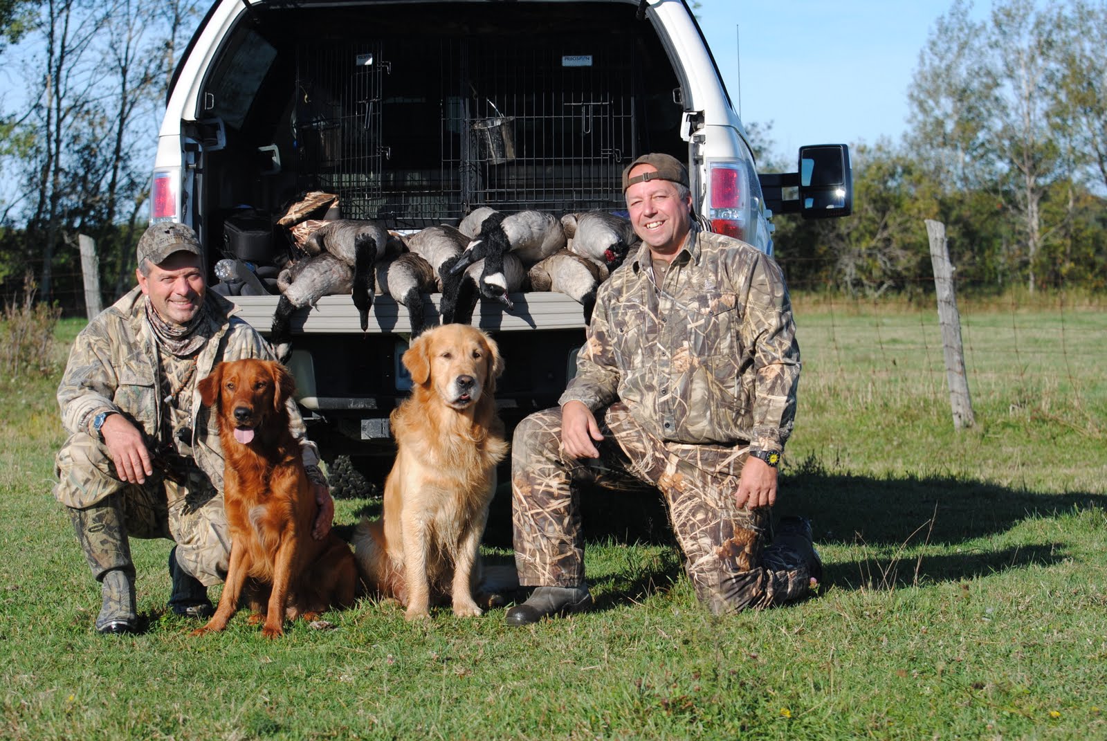 Hunting Buddies Weigh In Tidewater Golden Retrievers