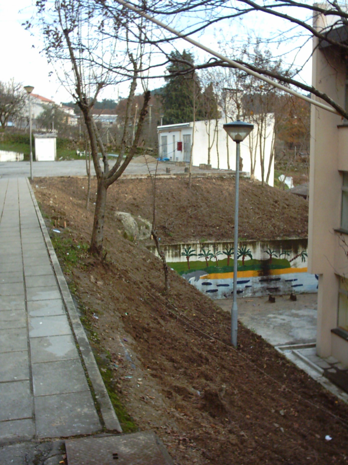 [BIB.5a.JPG]
