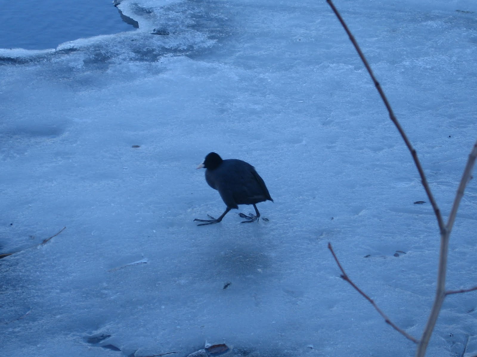 [IMG_0038.JPG]