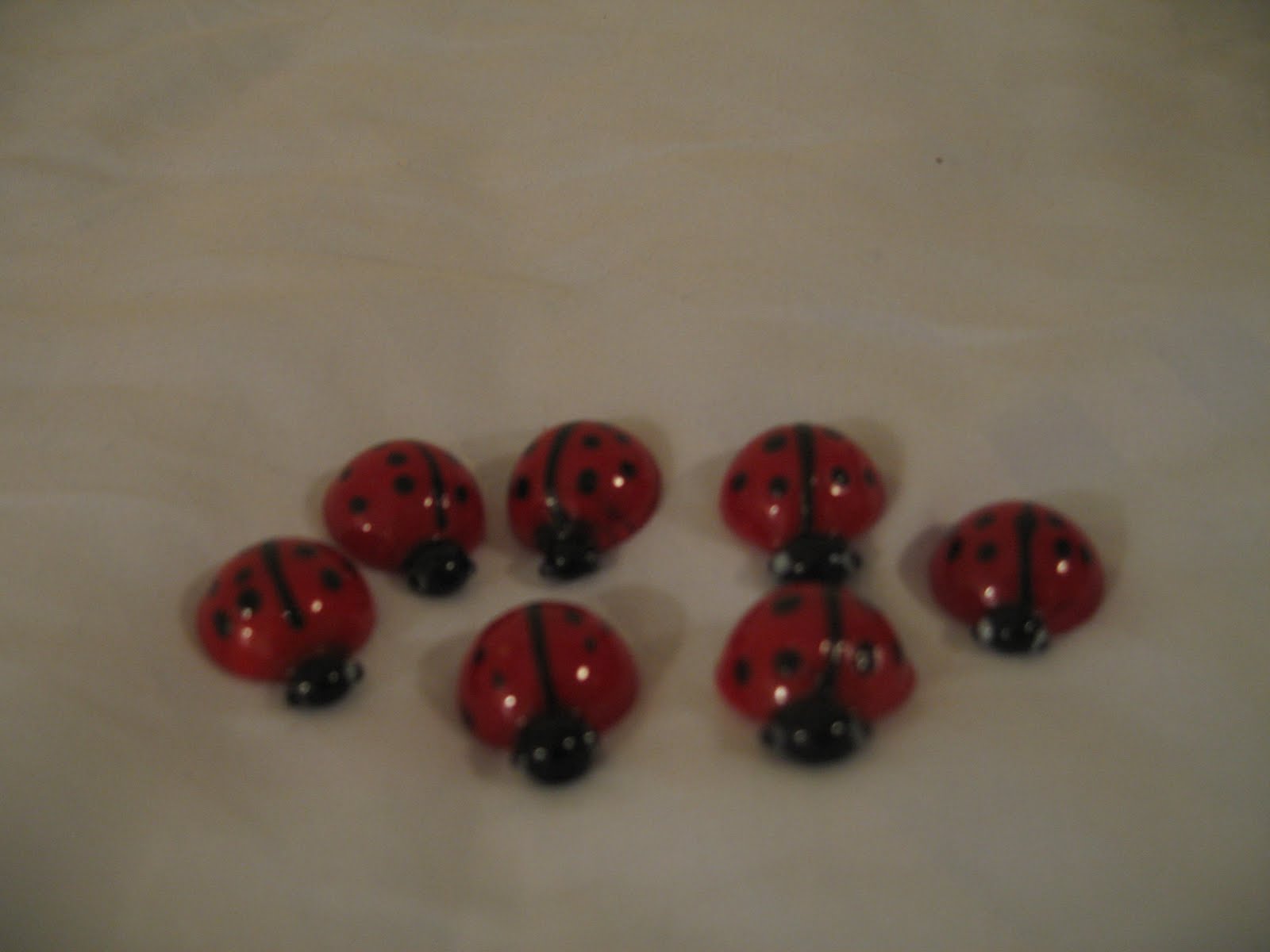 [Der+MarienKäfer.JPG]