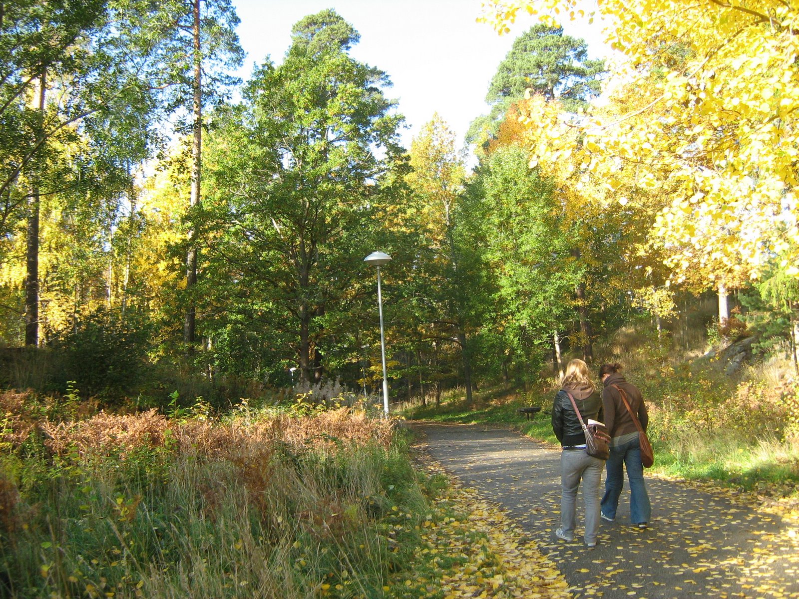 [IMG_2022.JPG]