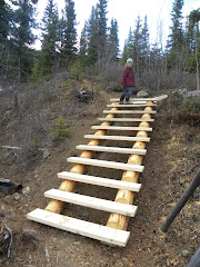 New stairs down to the lake