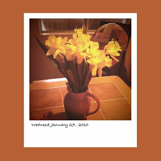 yellow daffodils iPhone polaroid