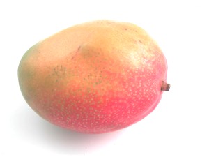[mango_300.jpg]