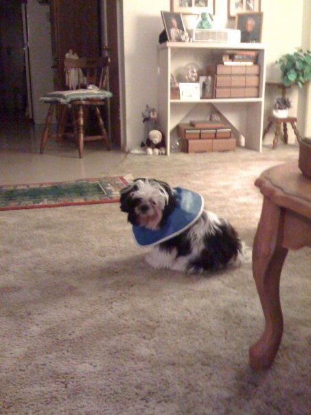 [n717324041_1364194_1201.jpg]