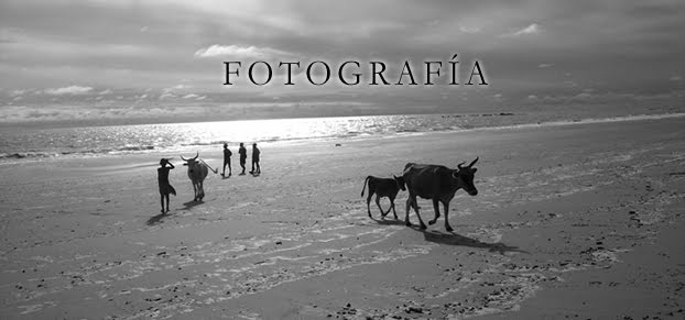 TORETEO - Fotografía Fernando M. Sassone